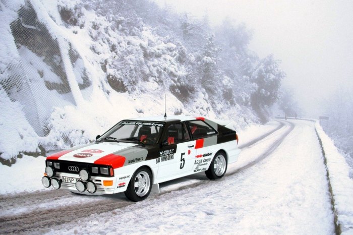 Trofeumodels Audi Quattro